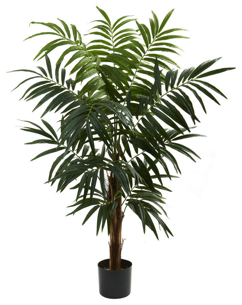 4.5' Bulb Areca Tree