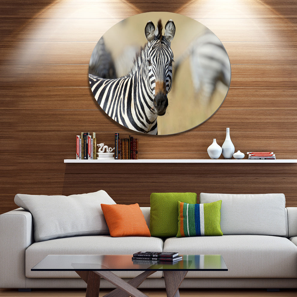 African Zebra Close-Up View, African Disc Metal Wall Art, 11"