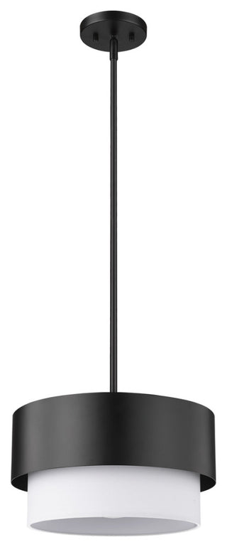 Z-LITE 1-Light Pendant, Matte Black