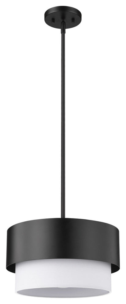 Z-LITE 1-Light Pendant, Matte Black