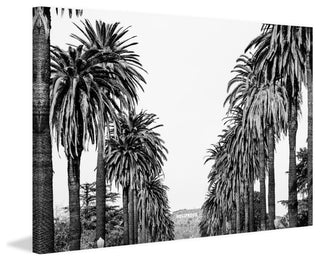 "Hollywood in Sight" Painting Print on Wrapped Canvas