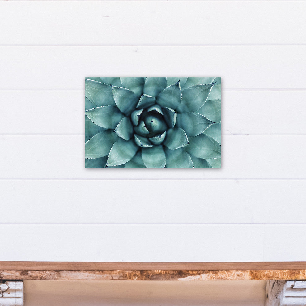 "Agave 3" Canvas Wall Art, 18"x12"