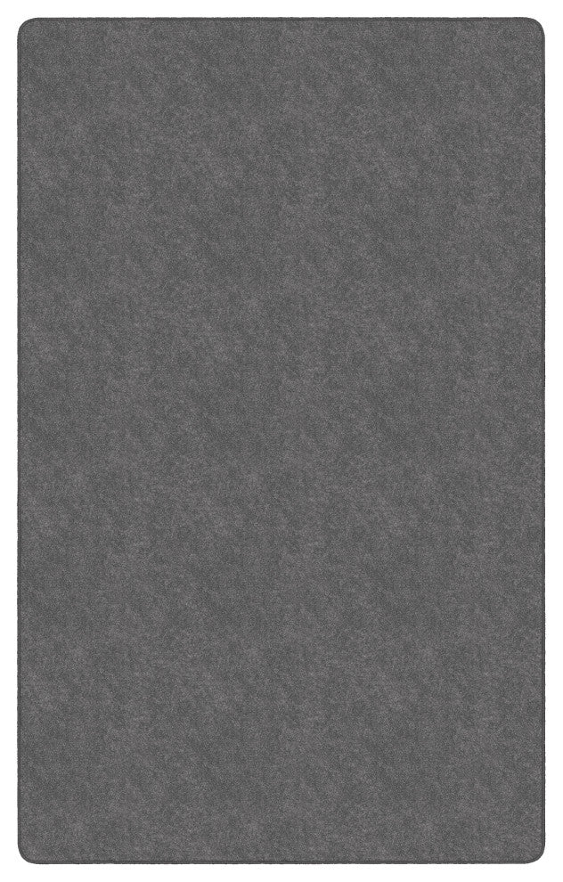 Flagship Carpets TS-34GY Amerisoft Gray