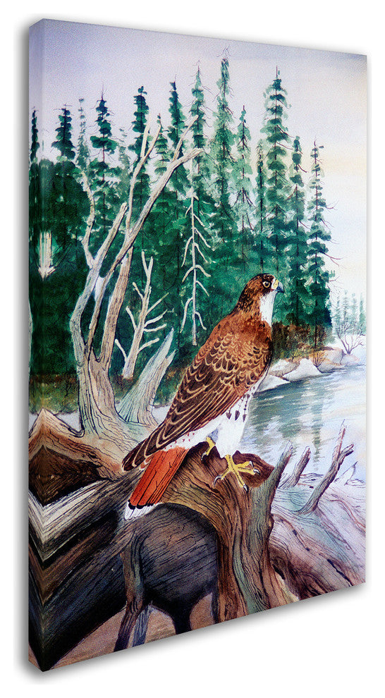 Arie Reinhardt Taylor 'Red Tailed Hawk' Canvas Art, 32x22
