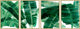 New Orleans III Quadriptych, 96x36