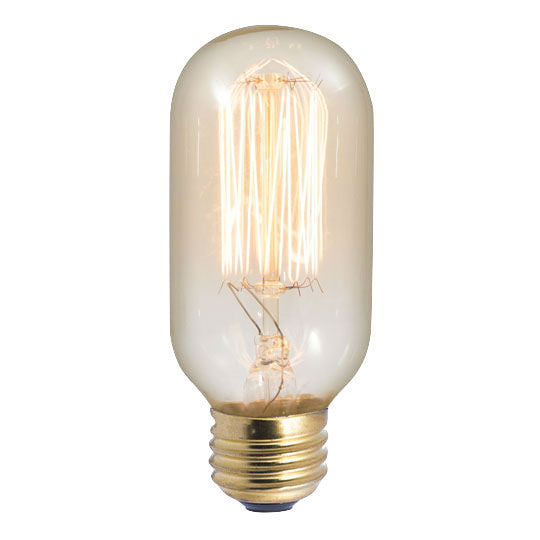 Vintage Edison T14 Tubular Light Bulbs, Clear, 40 Watt, Set of 50