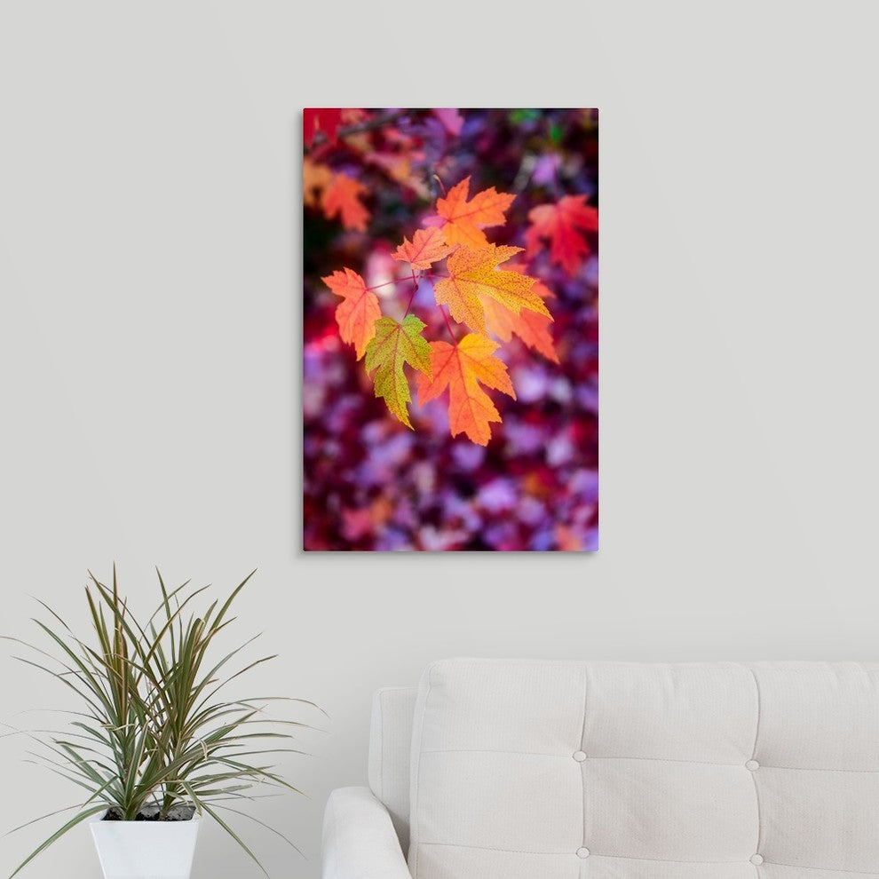 "Funtime" Wrapped Canvas Art Print, 16"x24"x1.5"
