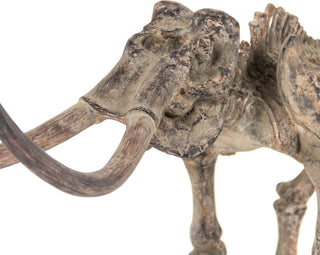 Mammoth Skeleton