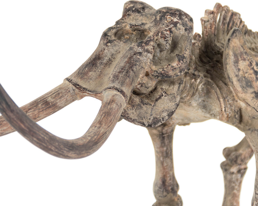 Mammoth Skeleton