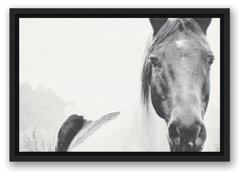 Black and White Lone Horse 12x18 Black Floating Framed Canvas