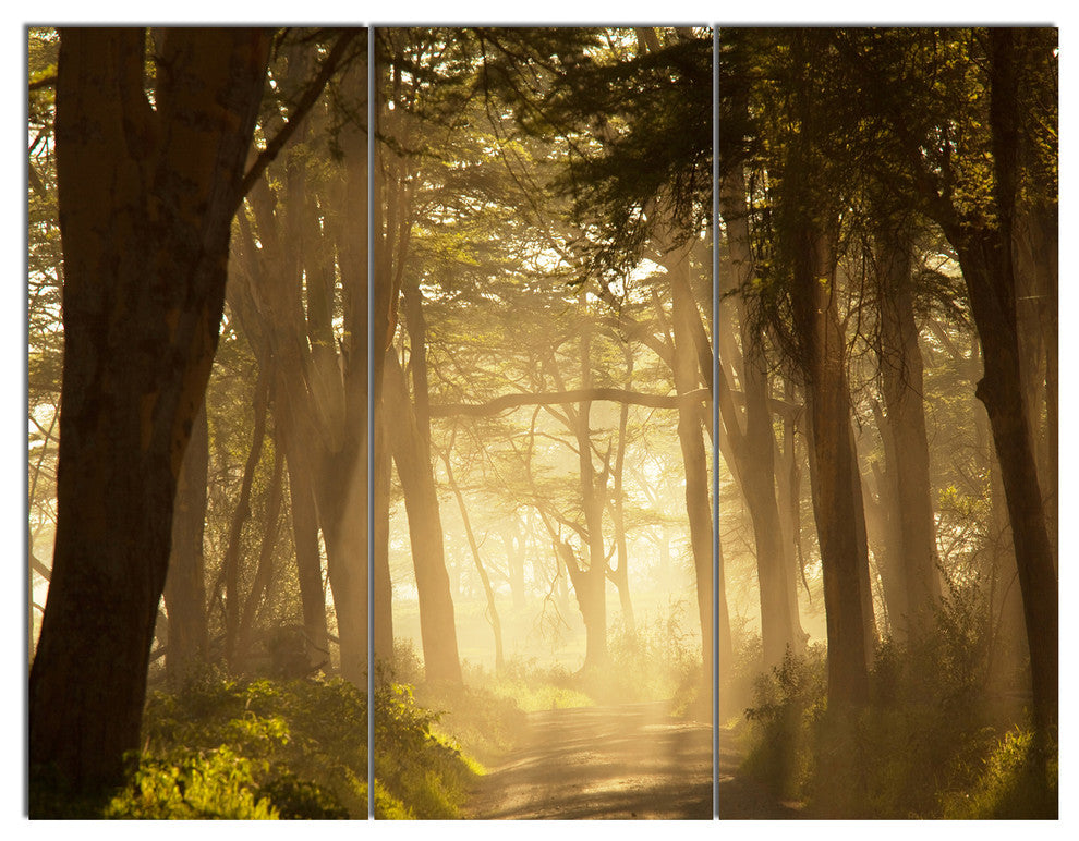 Deep Jungle with Foggy Sunlight, Landscape Triptych Canvas Art, 36x28, 3 Panels