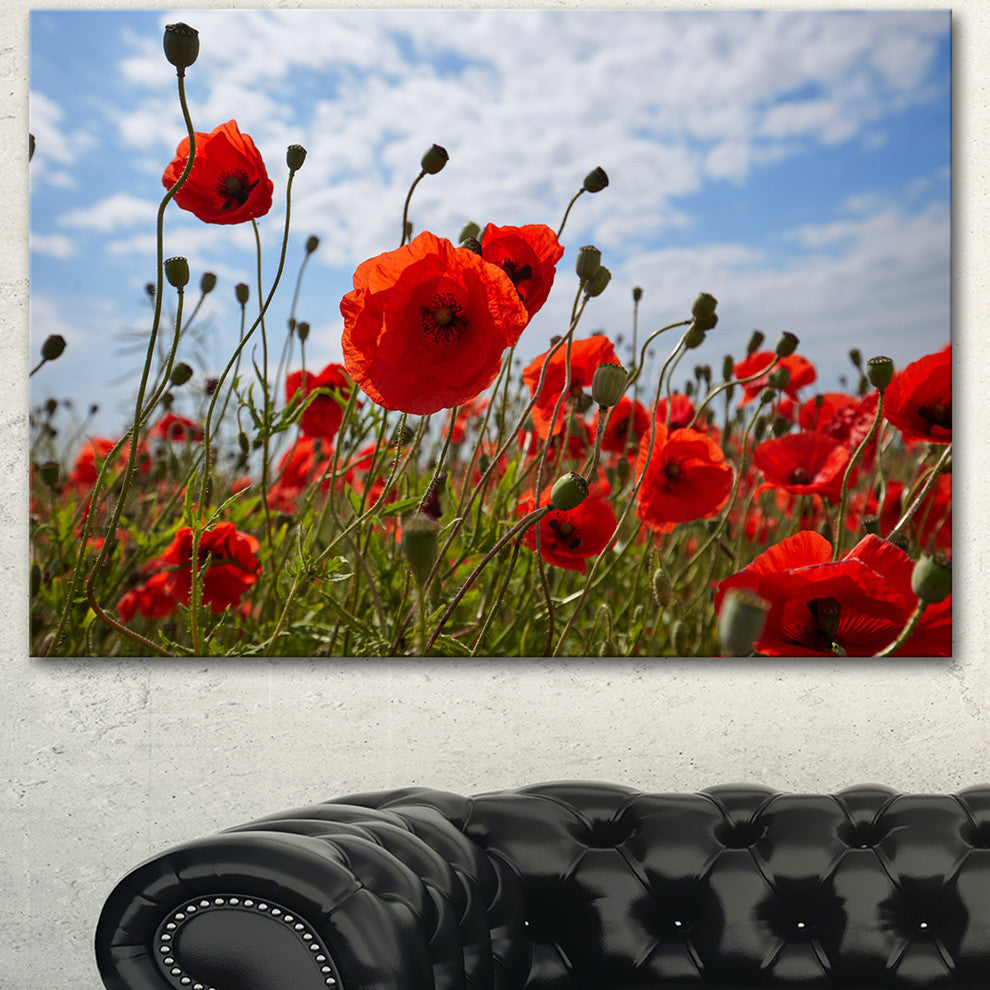Bright Red Poppy Flowers Photo, Flower Artwork on Canvas, 40"x30"