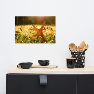 Fall Leaf in Morning Sun - Autumn Nature Photograph Unframed Wall Art Print, 12" X 18"
