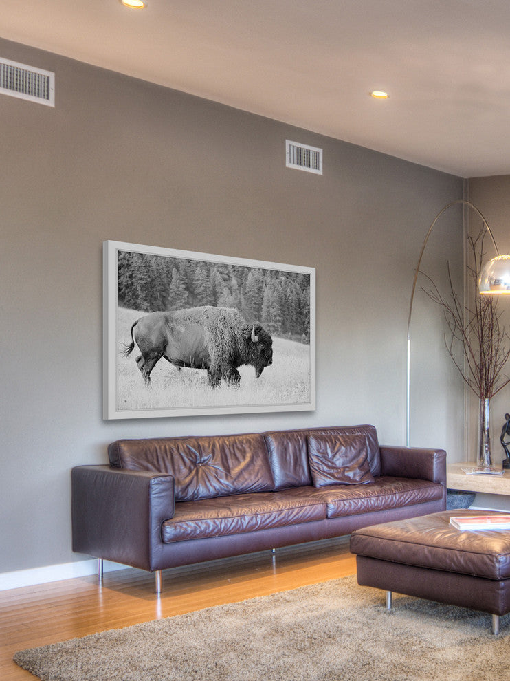 Marmont Hill, "Buffalo Grazing" Framed Painting Print, 30x20
