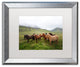 Philippe Sainte-Laudy 'Bunch of Friends' Matted Framed Art