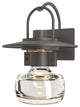 Mason Large Outdoor Sconce, Coastal Natural Iron Finish - Clear Glass