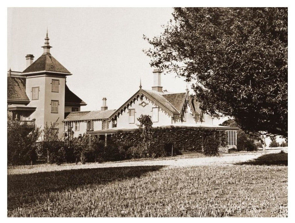 "Residence of Mr. Howard, San Mateo, Olive Tree, 1863-1880" Paper Art, 18"x14"