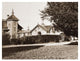"Residence of Mr. Howard, San Mateo, Olive Tree, 1863-1880" Paper Art, 18"x14"
