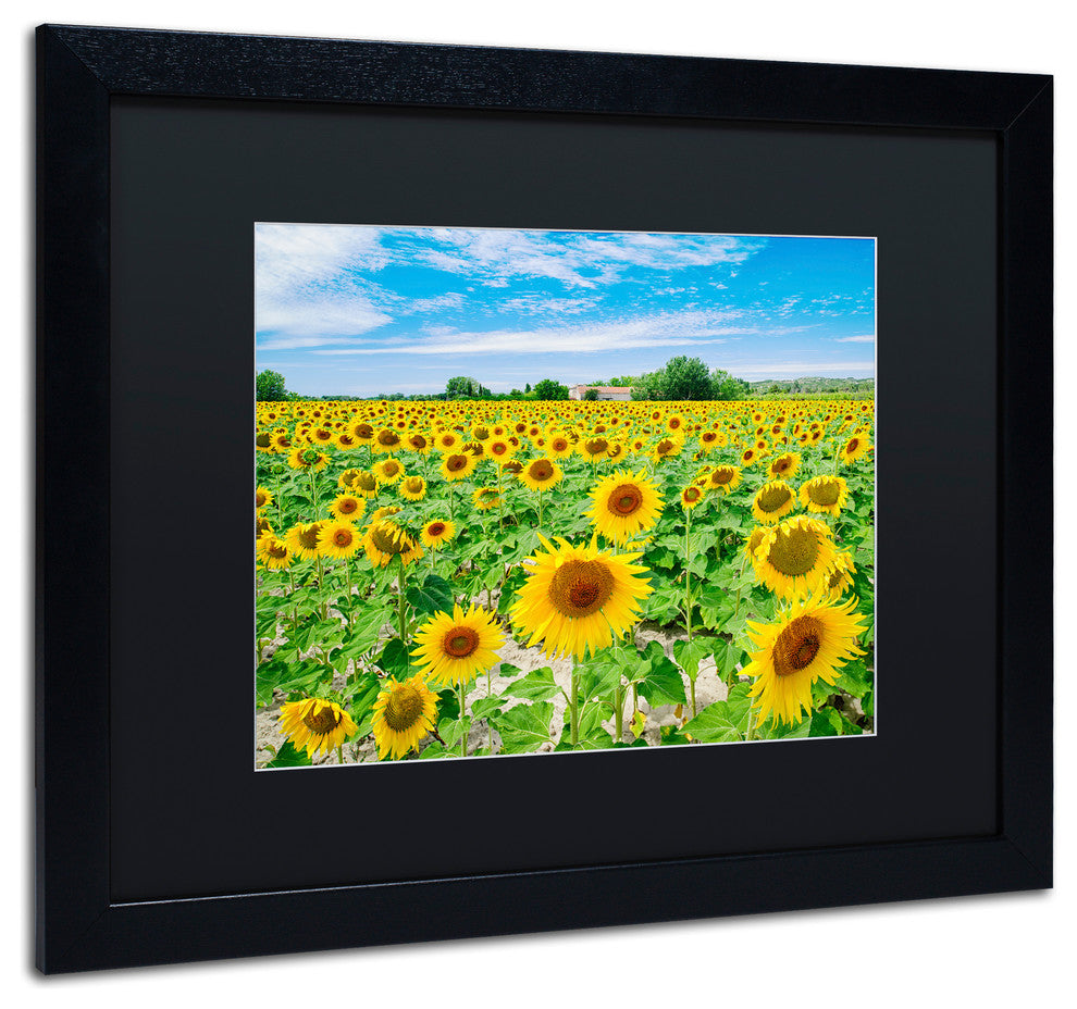 Blanchette Photography 'Field of Yellow', Black Frame, Black Matte, 20"x16"