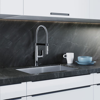 Dowell 8002/016 Series Single Handle Kitchen Faucet/Sprayer Chrome