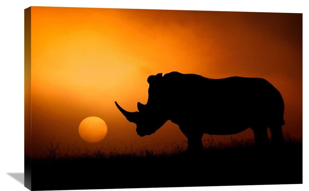 "Rhino Sunrise" Stretched Canvas Giclee by Mario Moreno, 36x24"