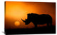 "Rhino Sunrise" Stretched Canvas Giclee by Mario Moreno, 36x24"