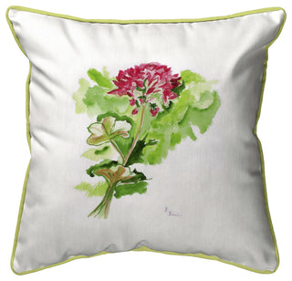 Geranium Large Indoor/Outdoor Pillow 18x18
