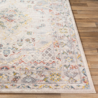 Ankara AKR-2301 Rug, Taupe, 5'3"x7'3"