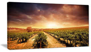"Vineyard With Stormy Sunset" Wall Art Landscape, 40"x20"
