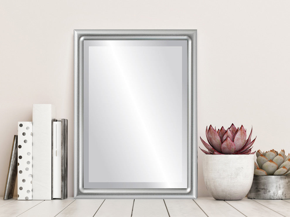 Pasadena Framed Rectangle Mirror, Silver Spray, 17"x21"