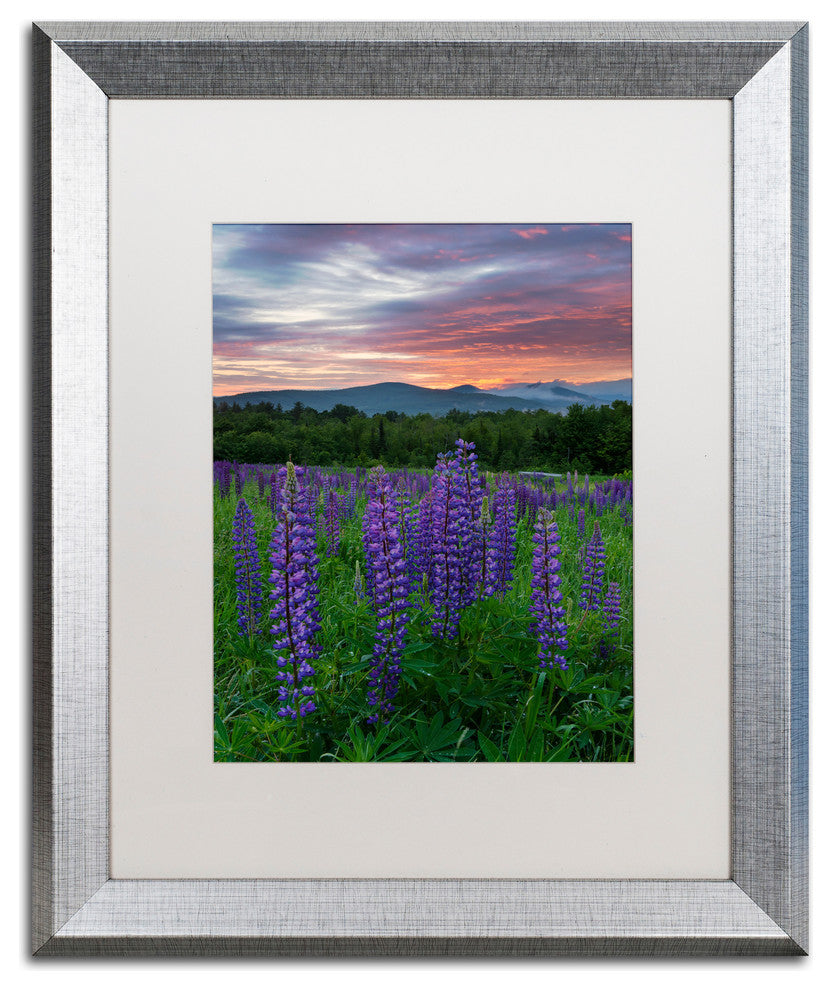 Michael Blanchette Photography 'Fire in the Sky' Matted Framed Art, 20x16