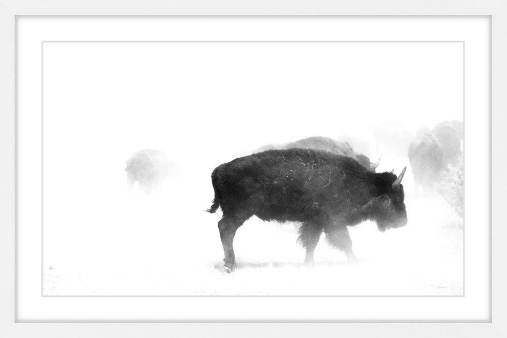 Marmont Hill, "Buffalo Mist" Framed Painting Print, 45x30