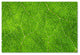 Cora Niele ''Leaf Texture VII'' Canvas Art