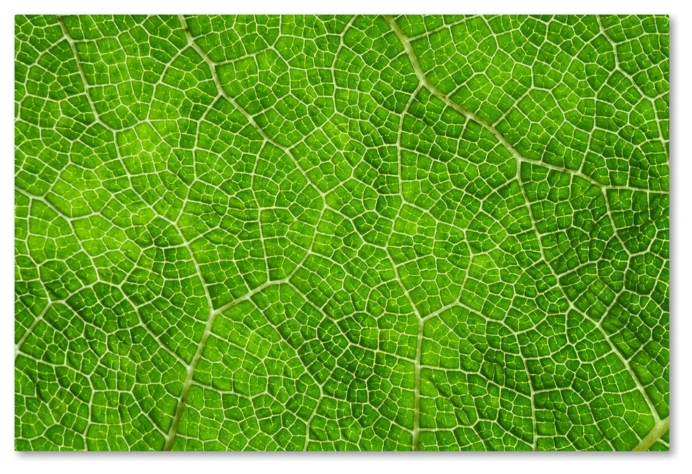 Cora Niele ''Leaf Texture VII'' Canvas Art