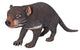 Tasmanian Devil Statue