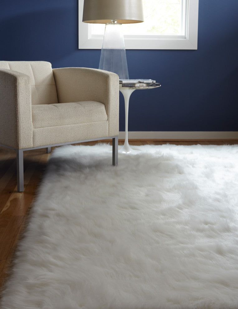 Danso Shag DA-04 Ivory Area Rug, 3'x5'