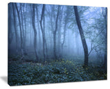 "Trail Through Blue Fall Forest" Photograph Print