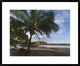 "Palm trees line Pelada Beach, Costa Rica"  by Tim Fitzharris, 32x26"