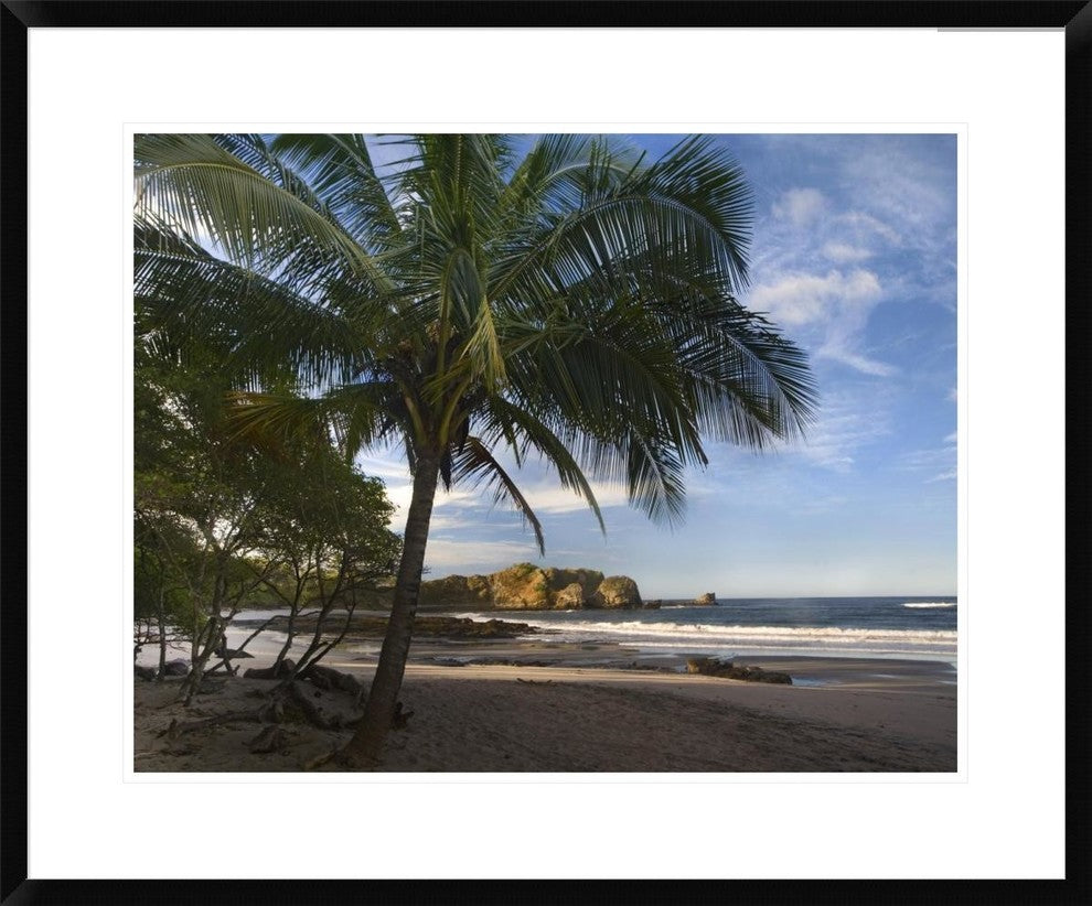 "Palm trees line Pelada Beach, Costa Rica"  by Tim Fitzharris, 32x26"
