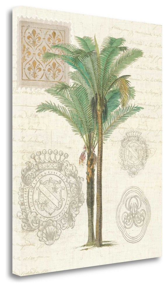 "Vintage Palm Study II" By Wild Apple Portfolio, Giclee on Gallery Wrap Canvas