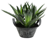 7.5" Green Succulent In Galvanized Pot