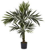 5' Kentia Silk Tree