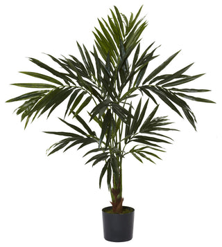 5' Kentia Silk Tree
