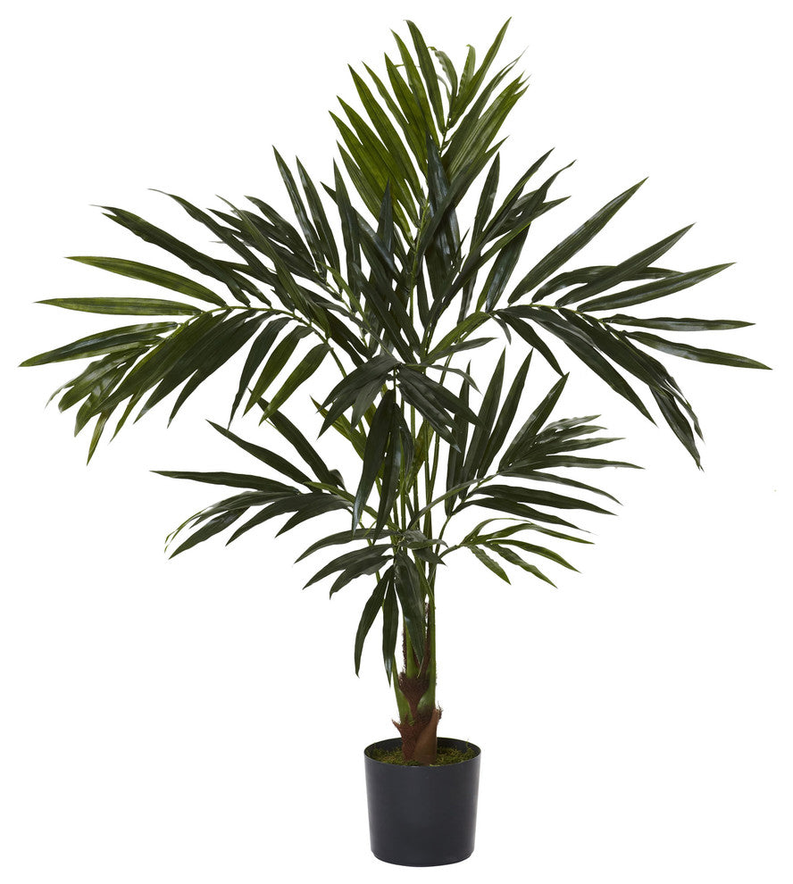 5' Kentia Silk Tree
