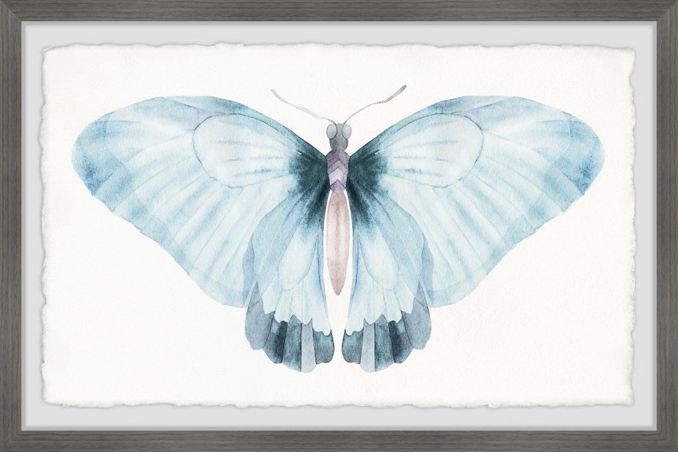 "Winged Beauty" Framed Painting Print, 12x8