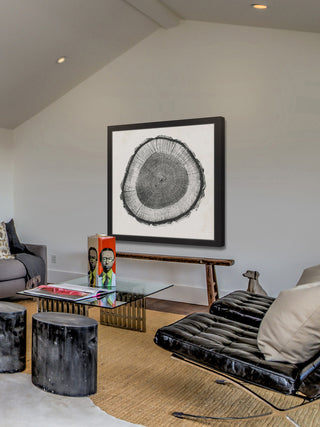 "Tree Ring II" Framed Painting Print, 24"x24"