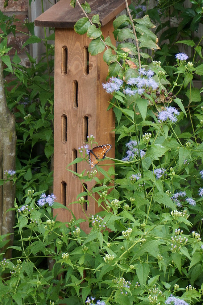 Butterfly House, Golden Pecan