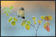 "Winter Colors" Framed Canvas Giclee by Andres Miguel Dominguez, 31x21"
