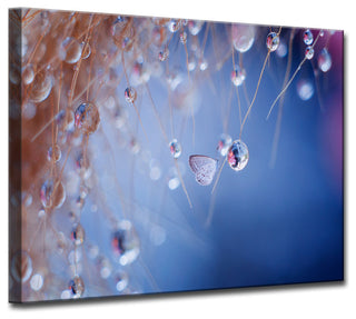 Ready2HangArt 'Droplets' Wrapped Canvas Wall Decor, 40"x30"