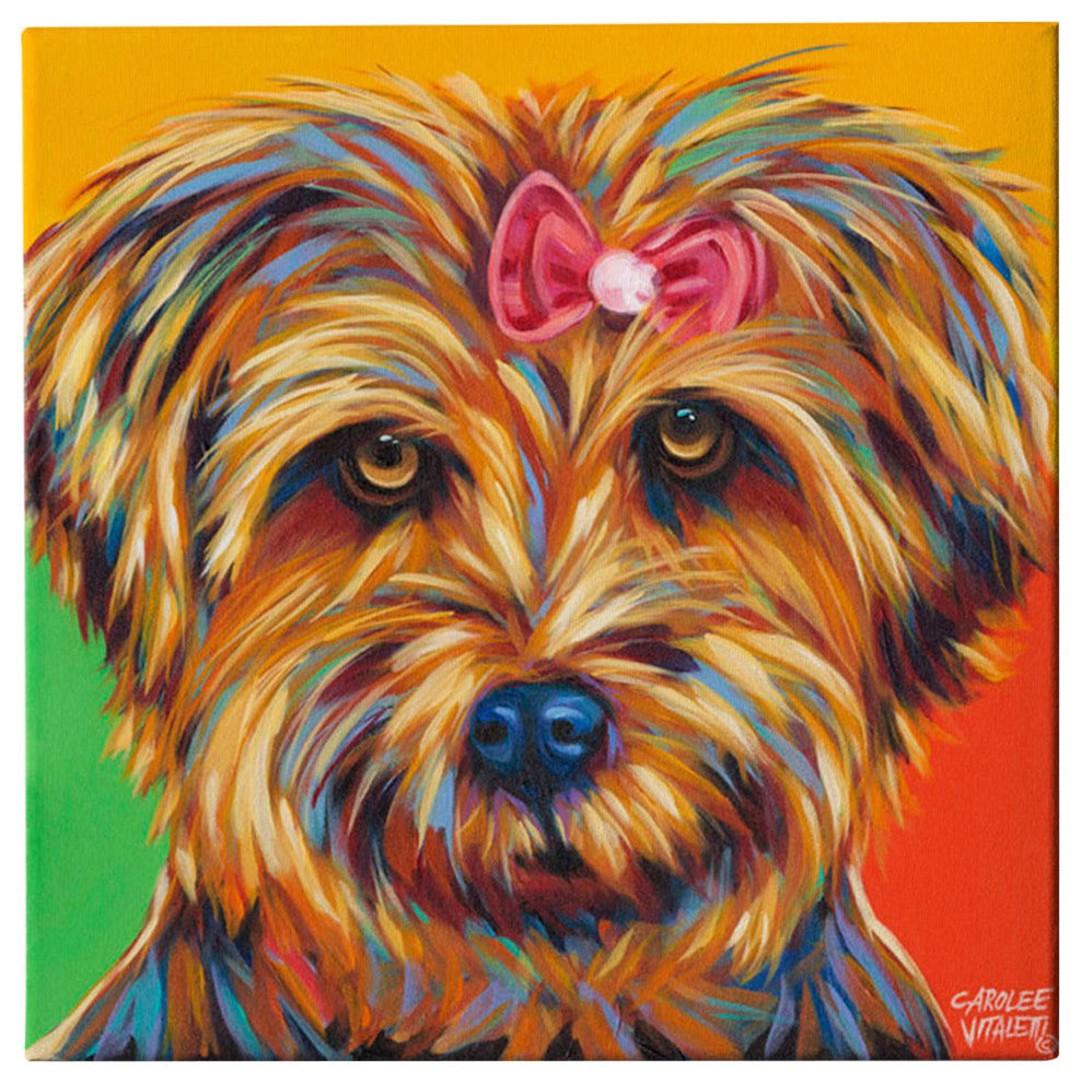 Sweet Yorkie I' by Carolee Vitaletti Giclee Canvas Wall Art, 18"x18"